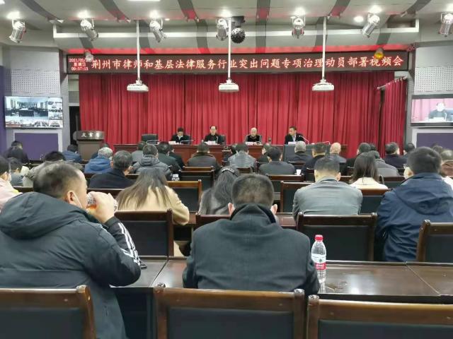 荆州市司法局召开全市律师和基层法律服务行业突出问题专项治理动员部署视频会